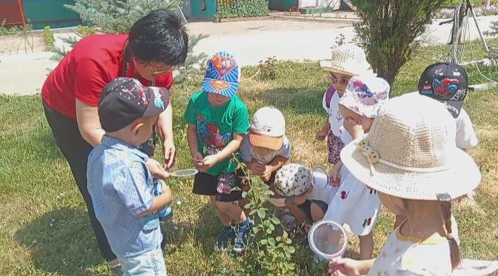 "Жас із кесушілер"